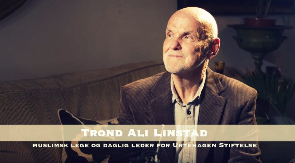 Trond Ali Linstad Herland Report