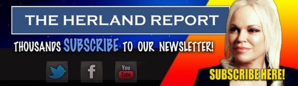 The EU forgot to defend Europeans Herland Report banner