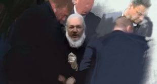 What Julian Assange did: Julian Assange Ruptly Catelyn Johnston